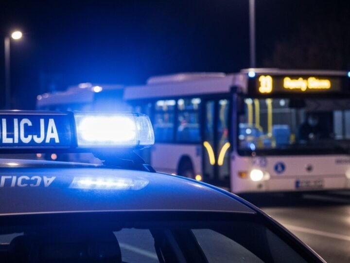 Jak unikać kradzieży podczas przedświątecznych zakupów?