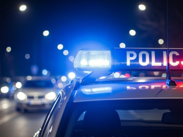 Bezpieczny transport choinki – jak uniknąć mandatu i zagrożeń na drodze?